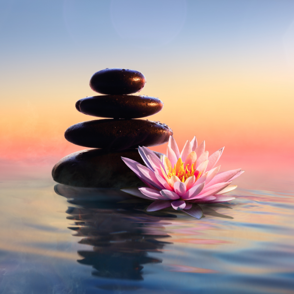 Calm, Grounding, and Intention Setting Meditation